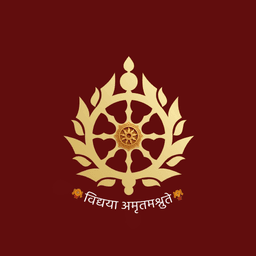 Baladhanvi Classes Logo